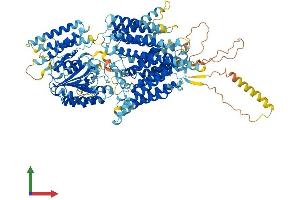 AlphaFold protein structure predicition of Mouse Recombinant Pigo Protein, UniprotID Q9JJI6 (PIGO Protein (AA 1-1093) (His tag))