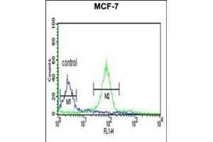 BARON Antibody (Center) (ABIN6243818 and ABIN6577360) flow cytometric analysis of MCF-7 cells (right histogram) compared to a negative control cell (left histogram). (Rubicon antibody  (AA 656-684))