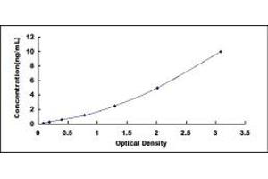 Typical standard curve (MMP8 ELISA Kit)