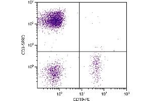 Human peripheral blood lymphocytes were stained with Mouse Anti-Human CD3-SPRD. (CD3 antibody  (SPRD))