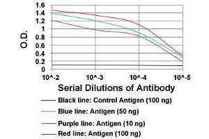 ELISA analysis of SSTR3 monoclonal antibody, clone 7H8E5  at 1:10000 dilution. (SSTR3 antibody  (AA 1-43))