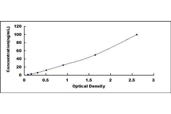 CD56 ELISA Kit