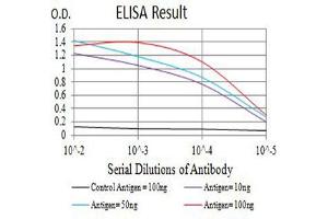 Black line: Control Antigen (100 ng),Purple line: Antigen (10 ng), Blue line: Antigen (50 ng), Red line:Antigen (100 ng) (CD84 antibody  (AA 22-225))