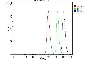 Flow Cytometry analysis of HEL cells using anti-Annexin-4/ANXA4 antibody (ABIN7599265). (Annexin IV antibody  (AA 1-319))