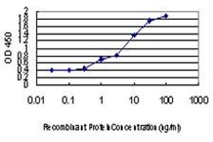 Detection limit for recombinant GST tagged STC2 is approximately 0. (Stanniocalcin 2 antibody  (AA 1-302))