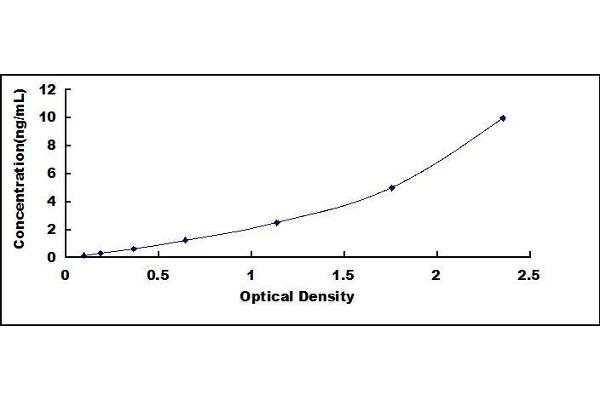 NT5C ELISA Kit