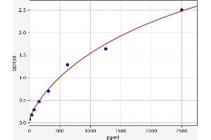 ONECUT1 ELISA Kit
