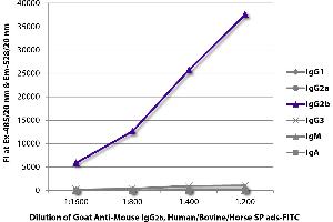 FLISA plate was coated with purified mouse IgG1, IgG2a, IgG2b, IgG3, IgM, and IgA.