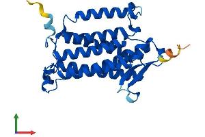 Protein Structure (PS) image for Alkaline Ceramidase 2 (ACER2) (AA 1-275) protein (His tag) (ABIN7551770)