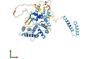 AlphaFold protein structure predicition of Mouse Recombinant Depdc7 Protein, UniprotID Q91WS7