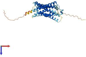AlphaFold protein structure predicition of Mouse Recombinant Mrgprh Protein, UniprotID Q99MT8 (MRGPRH Protein (AA 1-321) (His tag))