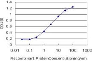Detection limit for recombinant GST tagged AKAP9 is approximately 0. (AKAP9 antibody  (AA 3812-3911))
