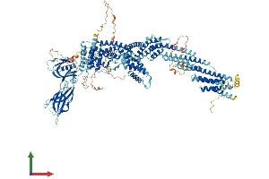 AlphaFold protein structure predicition of Mouse Recombinant Cadps2 Protein, UniprotID Q8BYR5 (CADPS2 Protein (AA 1-1297) (His tag))