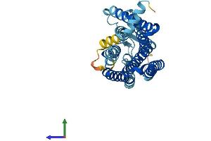 AlphaFold protein structure predicition of Human Recombinant OR13H1 Protein, UniprotID Q8NG92 (OR13H1 Protein (AA 1-308) (His tag))