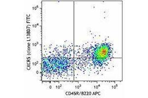 Flow Cytometry (FACS) image for anti-Chemokine (C-X-C Motif) Receptor 5 (CXCR5) antibody (FITC) (ABIN2661367) (CXCR5 antibody  (FITC))