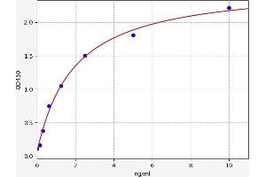 CDKN1B ELISA Kit