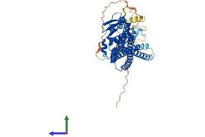 AlphaFold protein structure predicition of Mouse Recombinant Snx8 Protein, UniprotID Q8CFD4 (SNX8 Protein (AA 1-459) (His tag))