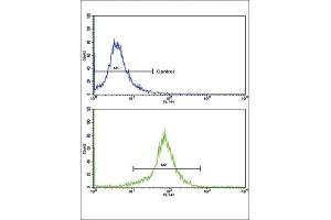 Flow Cytometry (FACS) image for anti-Superoxide Dismutase 3, Extracellular (SOD3) antibody (ABIN3002849) (SOD3 antibody)