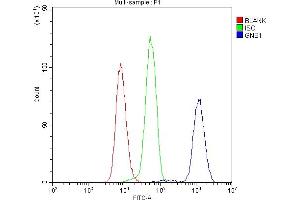 Flow Cytometry analysis of U937 cells using anti-GNB1 antibody (ABIN4886607).