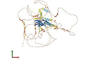 Protein Structure (PS) image for Protein Phosphatase 1, Regulatory Subunit 3F (PPP1R3F) (AA 1-799) protein (His tag) (ABIN7561545)