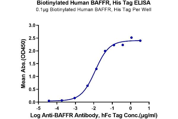 TNFRSF13C Protein (His-Avi Tag,Biotin)