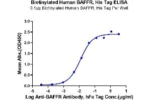 Immobilized Biotinylated Human BAFFR, His Tag at 1 μg/mL (100 μL/Well) on the plate. (TNFRSF13C Protein (His-Avi Tag,Biotin))