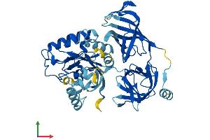 AlphaFold protein structure predicition of Mouse Recombinant Eef1a2 Protein, UniprotID P62631 (EEF1A2 Protein (AA 1-463) (His tag))