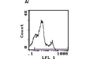 Image no. 2 for anti-CD3 (CD3) antibody (FITC) (ABIN114136)