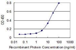 Detection limit for recombinant GST tagged SPOCK3 is 1 ng/ml as a capture antibody. (SPOCK3 antibody  (AA 132-230))