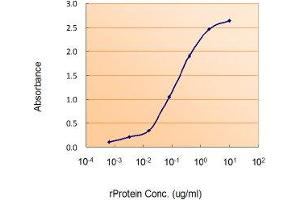 ELISA image for Von Hippel-Lindau Tumor Suppressor, E3 Ubiquitin Protein Ligase (VHL) peptide (ABIN369828)