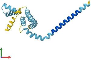 AlphaFold protein structure predicition of Human Recombinant REEP5 Protein, UniprotID Q00765 (REEP5 Protein (AA 1-189) (His tag))