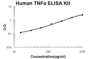 Human TNF alpha PicoKine ELISA Kit standard curve (TNF alpha ELISA Kit)
