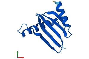 AlphaFold protein structure predicition of Human Recombinant LAMTOR5 Protein, UniprotID O43504 (HBXIP Protein (AA 1-91) (Fc Tag))