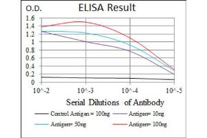 Red: Control Antigen (100ng) ; Purple: Antigen (10ng) ; Green: Antigen (50ng) ; Blue: Antigen (100ng). (Sonic Hedgehog antibody  (AA 26-161))