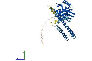 AlphaFold protein structure predicition of Human Recombinant COPS6 Protein, UniprotID Q7L5N1 (COPS6 Protein (AA 1-327) (His tag))