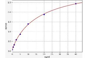 Typical standard curve (DDIT3 ELISA Kit)
