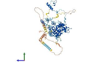 Protein Structure (PS) image for Guanine Nucleotide Binding Protein Like Protein 2 (GNL2) (AA 1-728) protein (His tag) (ABIN7560370)