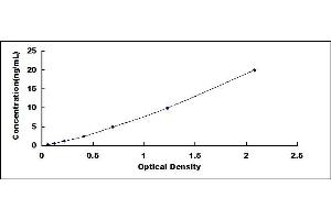 Typical standard curve (TBK1 ELISA Kit)