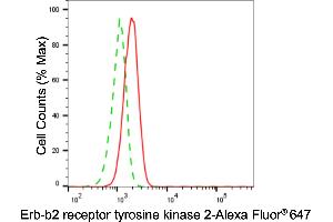 Flow cytometric analysis of Erb-b2 receptor tyrosine kinase 2 expression in H9c2 cells using Erb-b2 receptor tyrosine kinase 2 antibody (ABIN7800157), 1:2,000). (ErbB2/Her2 antibody)