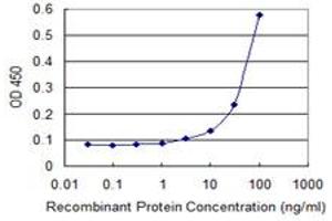 Detection limit for recombinant GST tagged ERBB3 is 3 ng/ml as a capture antibody. (ERBB3 antibody  (AA 1-130))