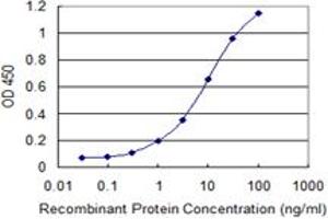 Detection limit for recombinant GST tagged IMPA1 is 0. (IMPA1 antibody  (AA 1-277))