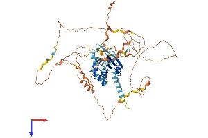 Suppressor of Cytokine Signaling 7 (SOCS7) (AA 1-581) protein (His tag)
