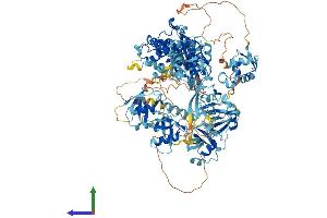 AlphaFold protein structure predicition of Human Recombinant USP40 Protein, UniprotID Q9NVE5 (USP40 Protein (AA 1-1235) (His tag))