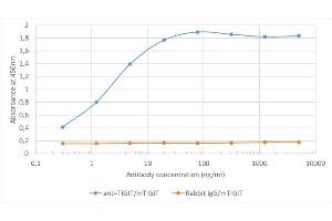 Binding curve of anti-TIGIT antibody 1B4 (ABIN7072547) to recombinant mouse TIGIT Fc-Fusion Protein.