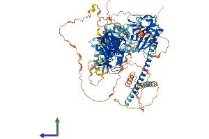 AlphaFold protein structure predicition of Mouse Recombinant Sipa1 Protein, UniprotID P46062 (SIPA1 Protein (AA 1-1037) (His tag))