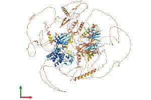 AlphaFold protein structure predicition of Human Recombinant NRK Protein, UniprotID Q7Z2Y5
