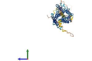 AlphaFold protein structure predicition of Human Recombinant PTGER1 Protein, UniprotID P34995