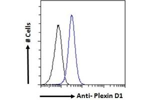 Flow Cytometry (FACS) image for anti-Plexin D1 (PLXND1) (Internal Region) antibody (ABIN185358)