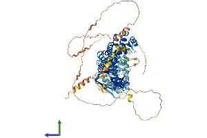 Protein Structure (PS) image for Neuronal Guanine Nucleotide Exchange Factor (NGEF) (AA 1-710) protein (His tag) (ABIN7554726)