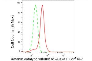 Flow cytometric analysis of Katanin catalytic subunit A1 expression in HeLa cells using Katanin catalytic subunit A1 antibody (ABIN7800946), 1:2,000). (Recombinant KATNA1 antibody)